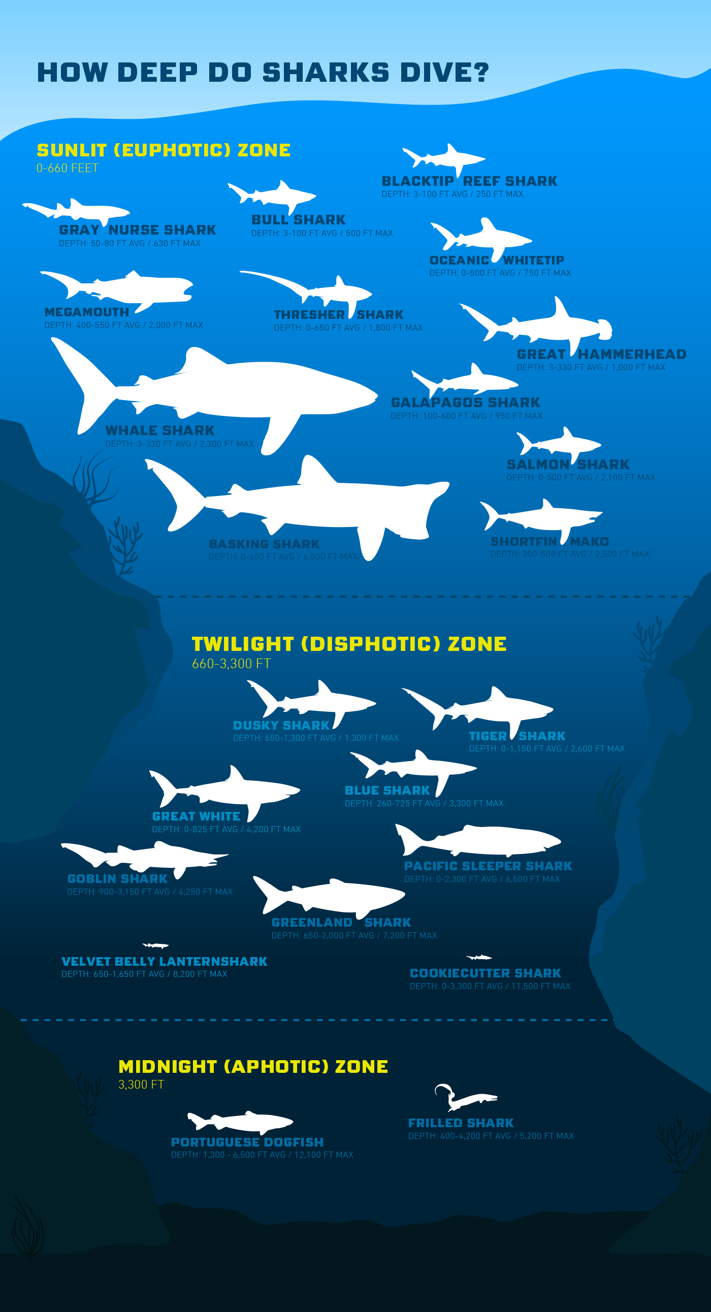 Celebrate Shark Week with this fun infographic on how deep sharks dive